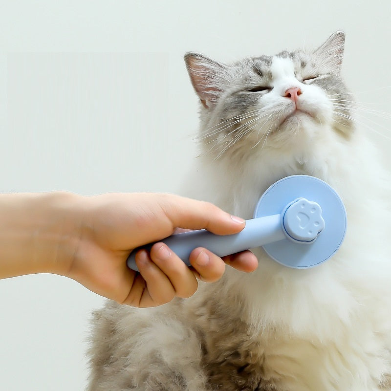 Cat comb for kitten