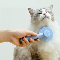 Cat comb for kitten